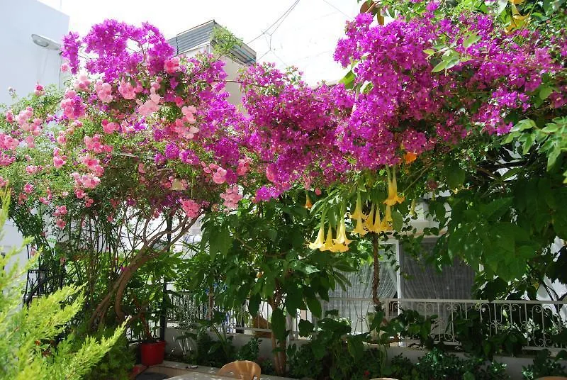 Bed and Breakfast Kale Hotel Αλικαρνασσός