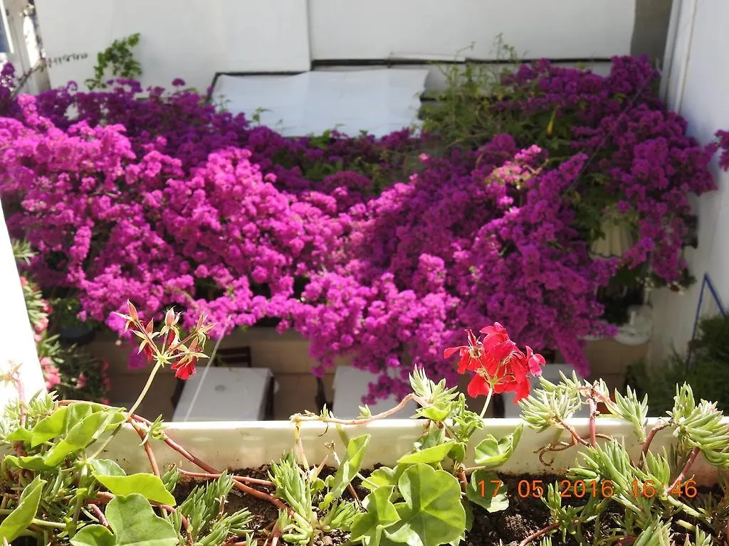 Bed and Breakfast Kale Hotel Αλικαρνασσός
