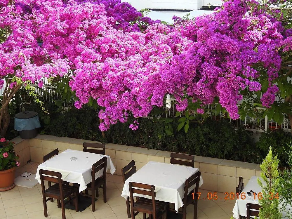 ** Bed and Breakfast Kale Hotel Αλικαρνασσός Τουρκία